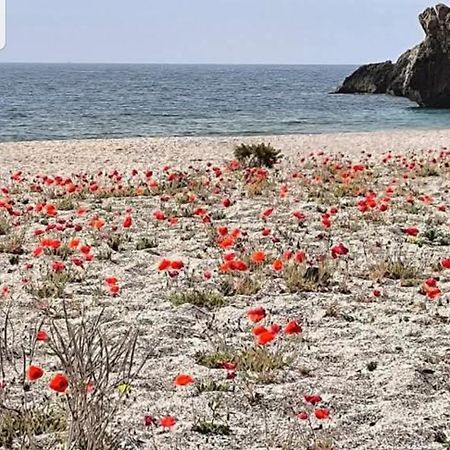 The Poppies Guest House - 100M Ocean - Private Spaces กันเดลาเรีย ภายนอก รูปภาพ