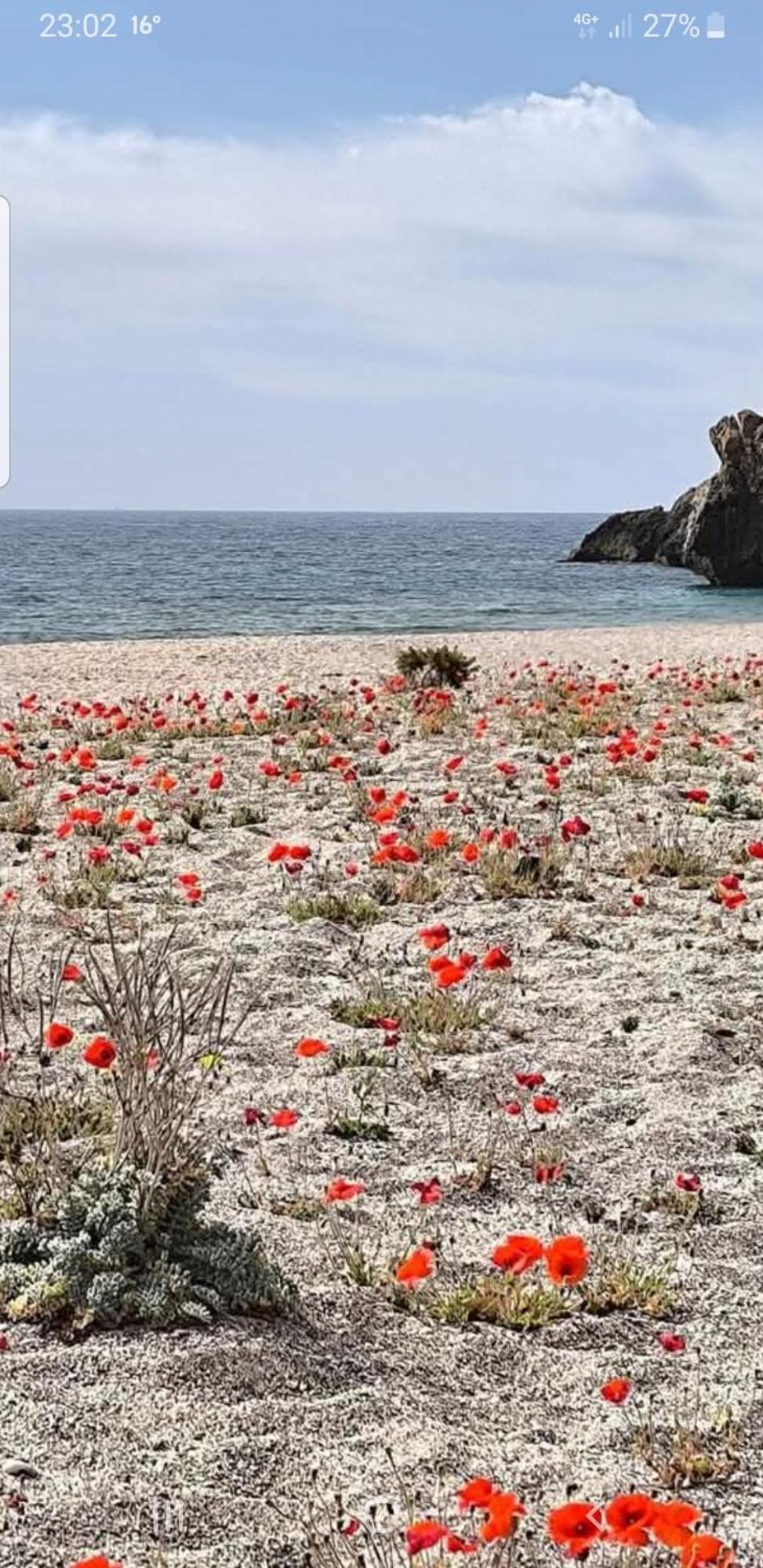 The Poppies Guest House - 100M Ocean - Private Spaces กันเดลาเรีย ภายนอก รูปภาพ